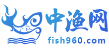 中漁網(wǎng)