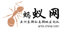 螞蟻網(wǎng)