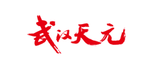 武漢天元?jiǎng)傊蹪O具有限責(zé)任公司