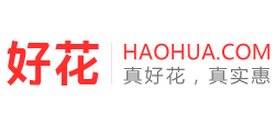 好花網(wǎng)
