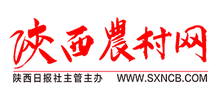 陜西農(nóng)村網(wǎng)