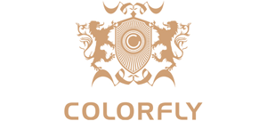 七彩虹 colorfly HIFI 播放器